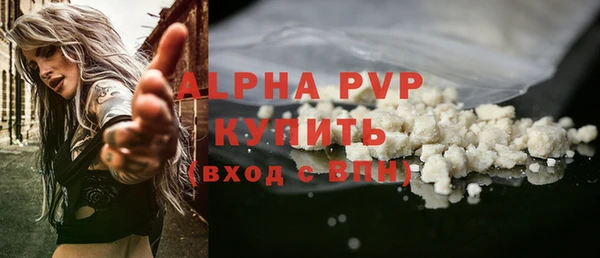 СК Алексин