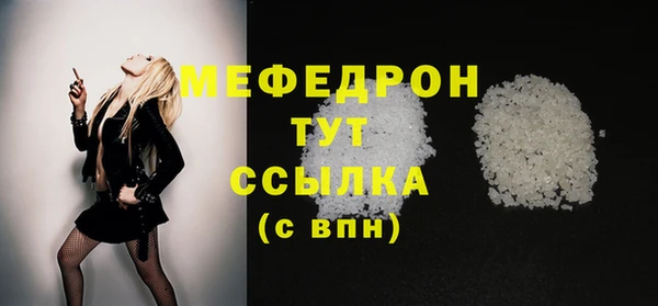 СК Алексин