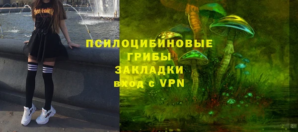 спайс Алзамай