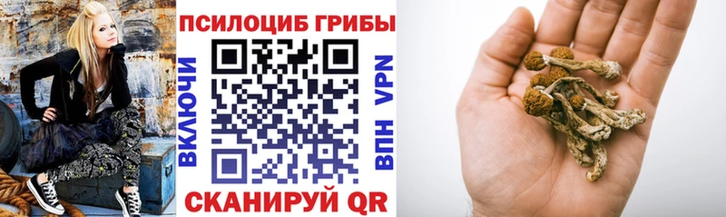 Псилоцибиновые грибы Psilocybine cubensis  hydra ТОР  Кольчугино 