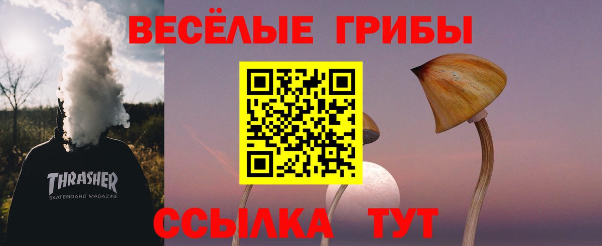 Галлюциногенные грибы Psilocybine cubensis  Вход с VPN  Кольчугино 